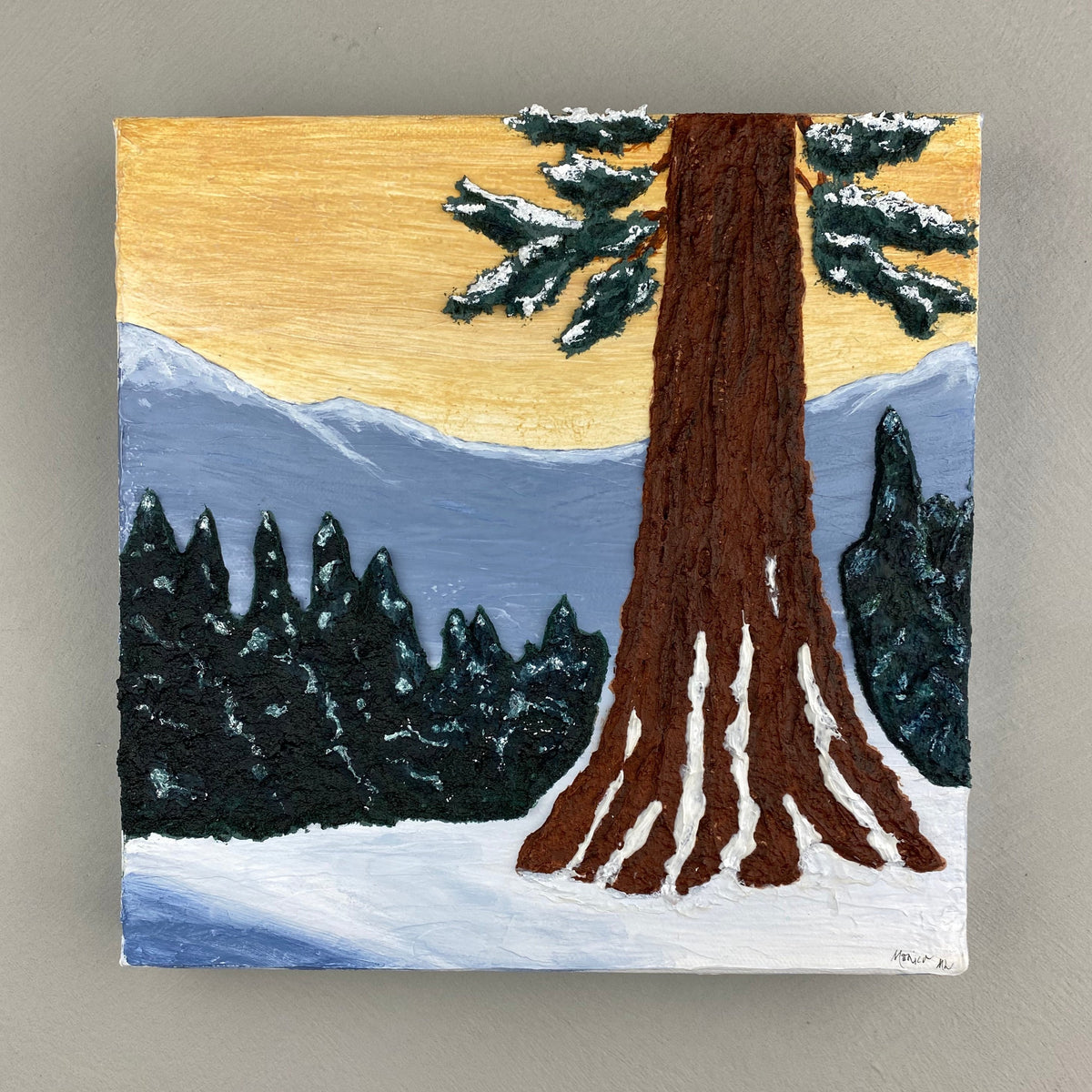 Cedar in the Snow