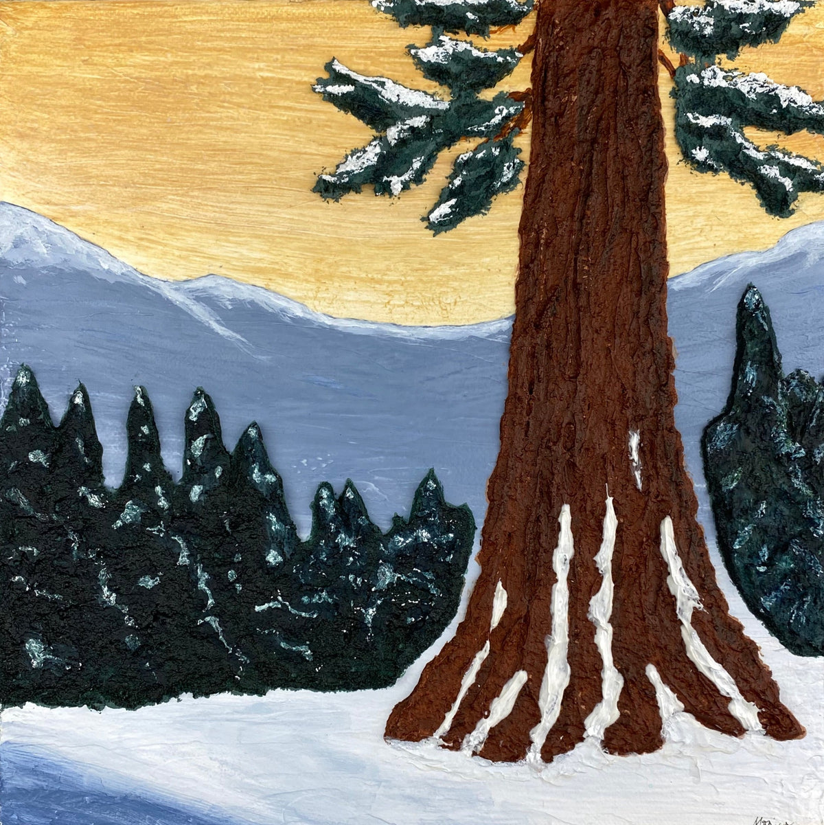 Cedar in the Snow