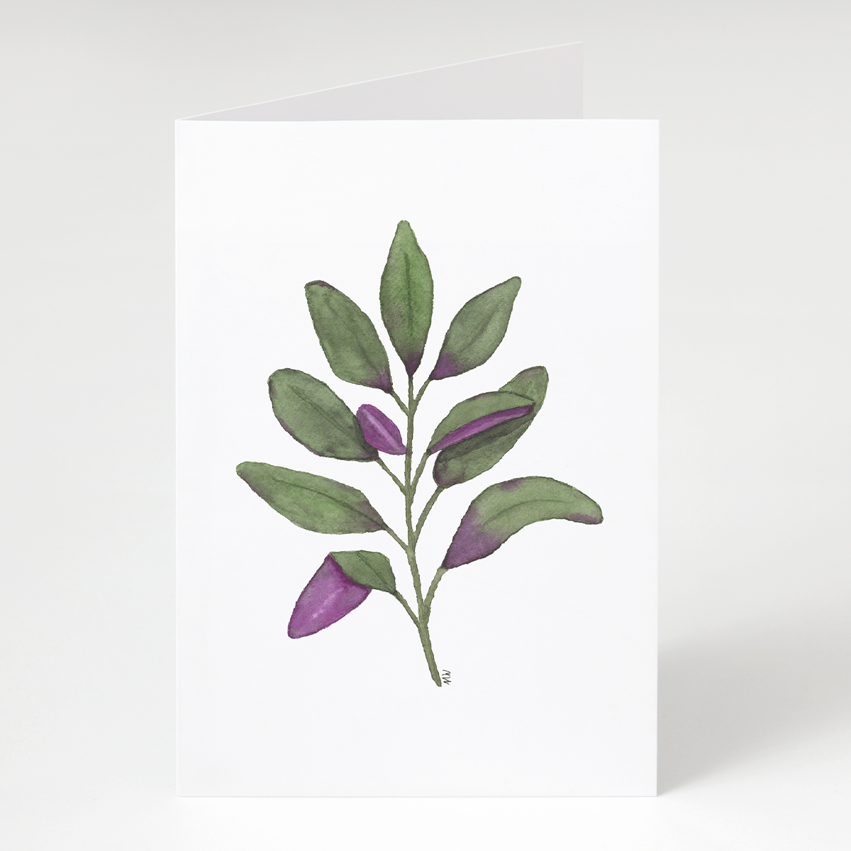 &quot;Purple Sage&quot; &#39;Greet &amp; Frame&#39; Greeting Card - Herb Series #2